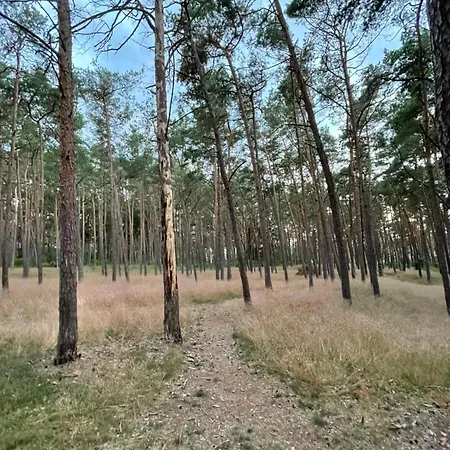 Marco Polo Delux Lägenhet *