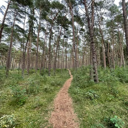 Lägenhet Marco Polo Delux Dziwnówek