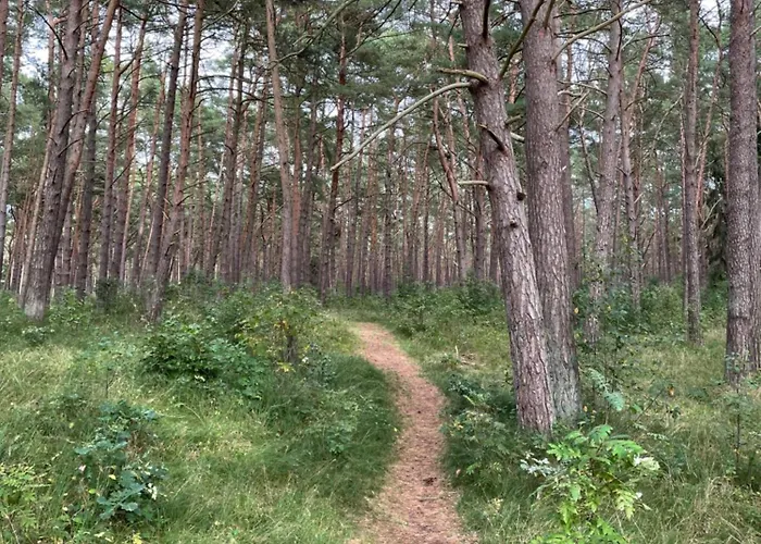 Marco Polo Delux 公寓