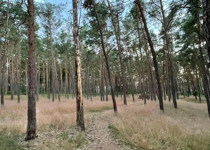 Marco Polo Delux 公寓 *