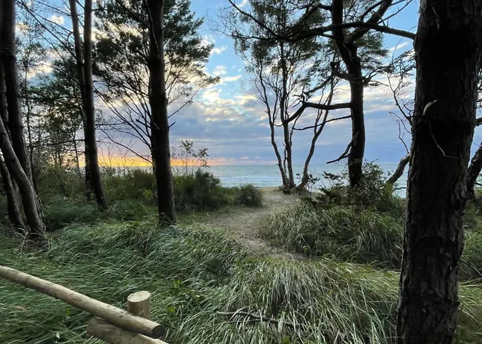 Marco Polo Delux Dziwnówek