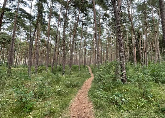 公寓 Marco Polo Delux Dziwnówek